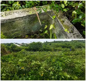 Half Plot of Land