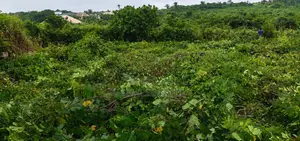 Half Plot of Land