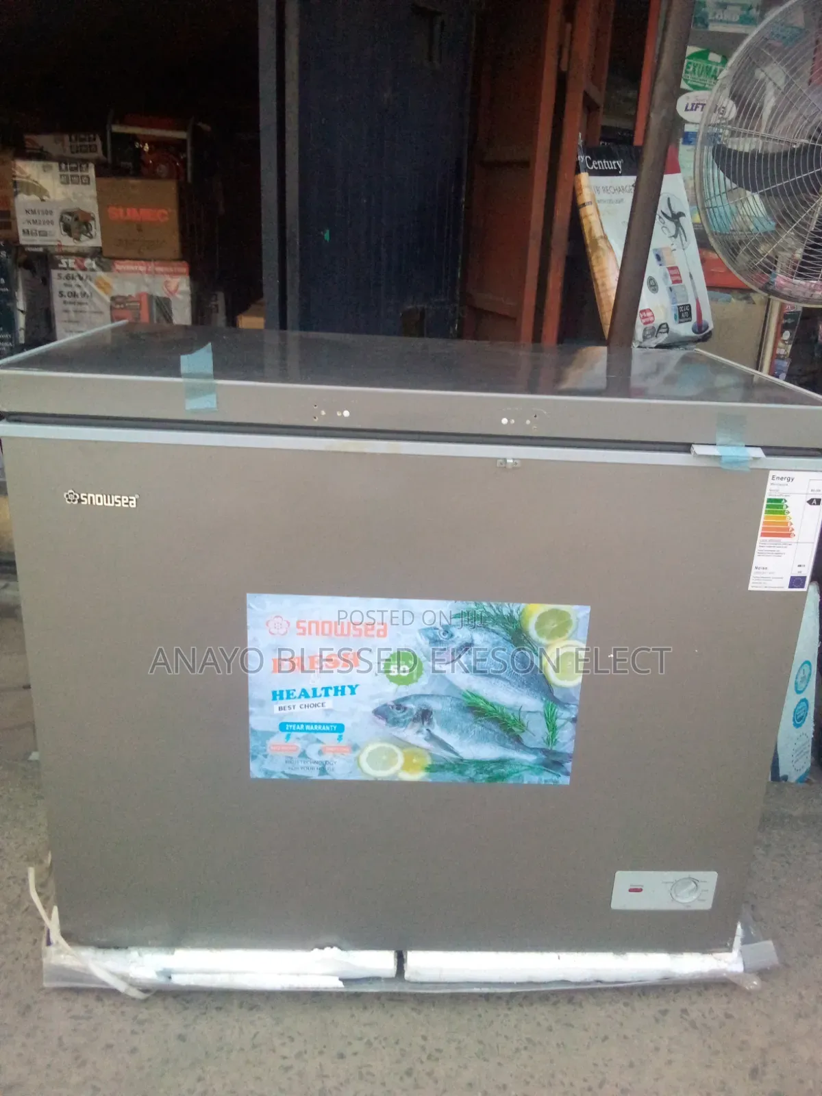 Snowsea Deep Freezer 200liters BD 308