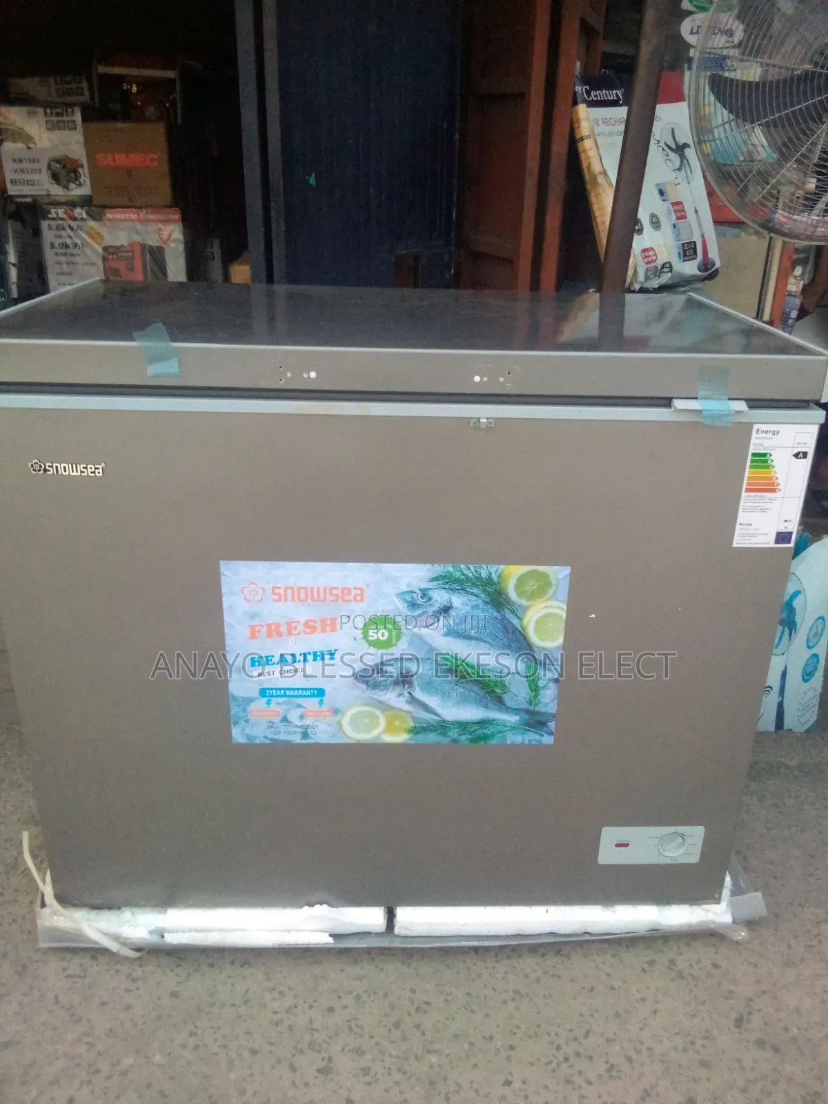 Snowsea Deep Freezer 200liters BD 308