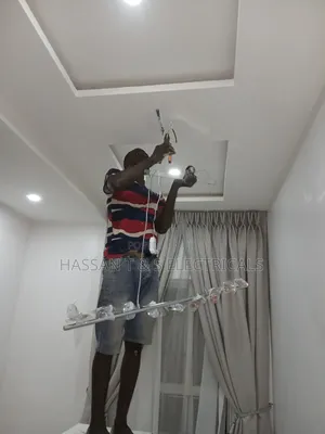 Professional Electrician