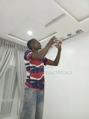 Professional Electrician