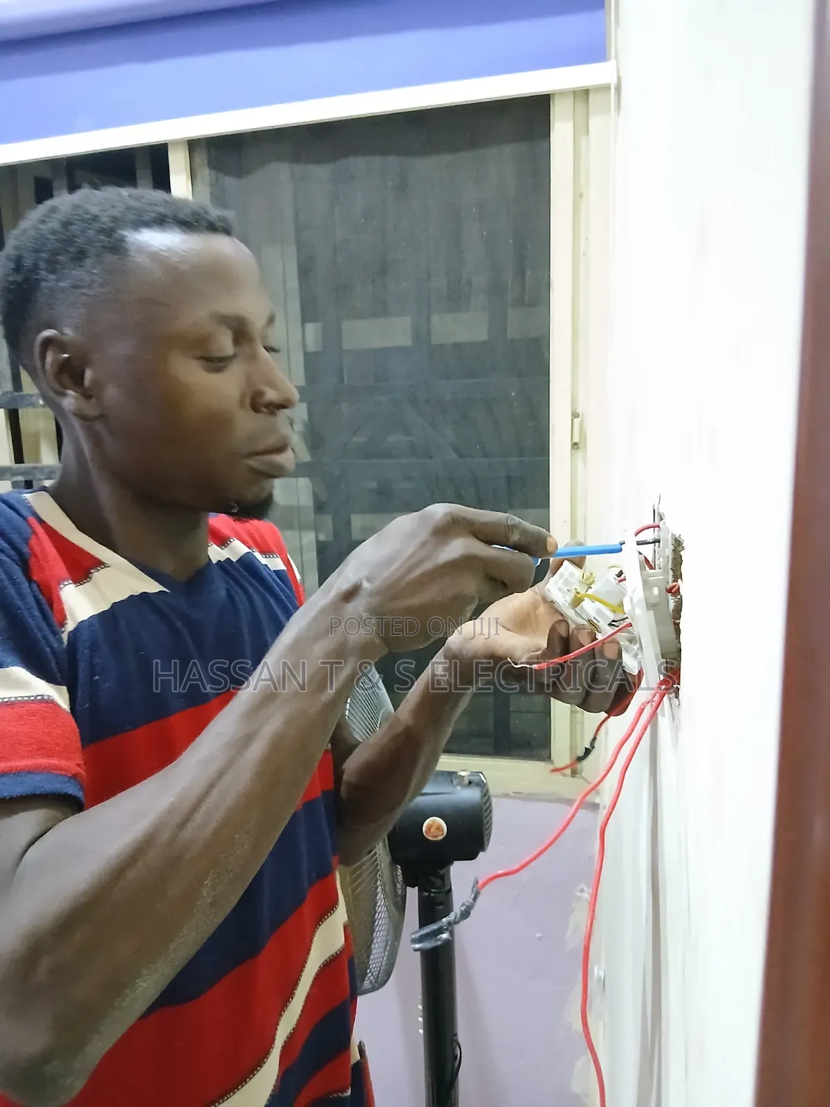 Professional Electrician