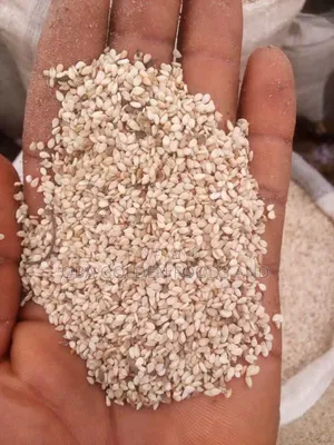 Sesame Seeds