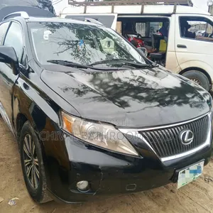 Lexus RX 350 2010 Gray