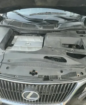 Lexus RX 350 2010 Gray