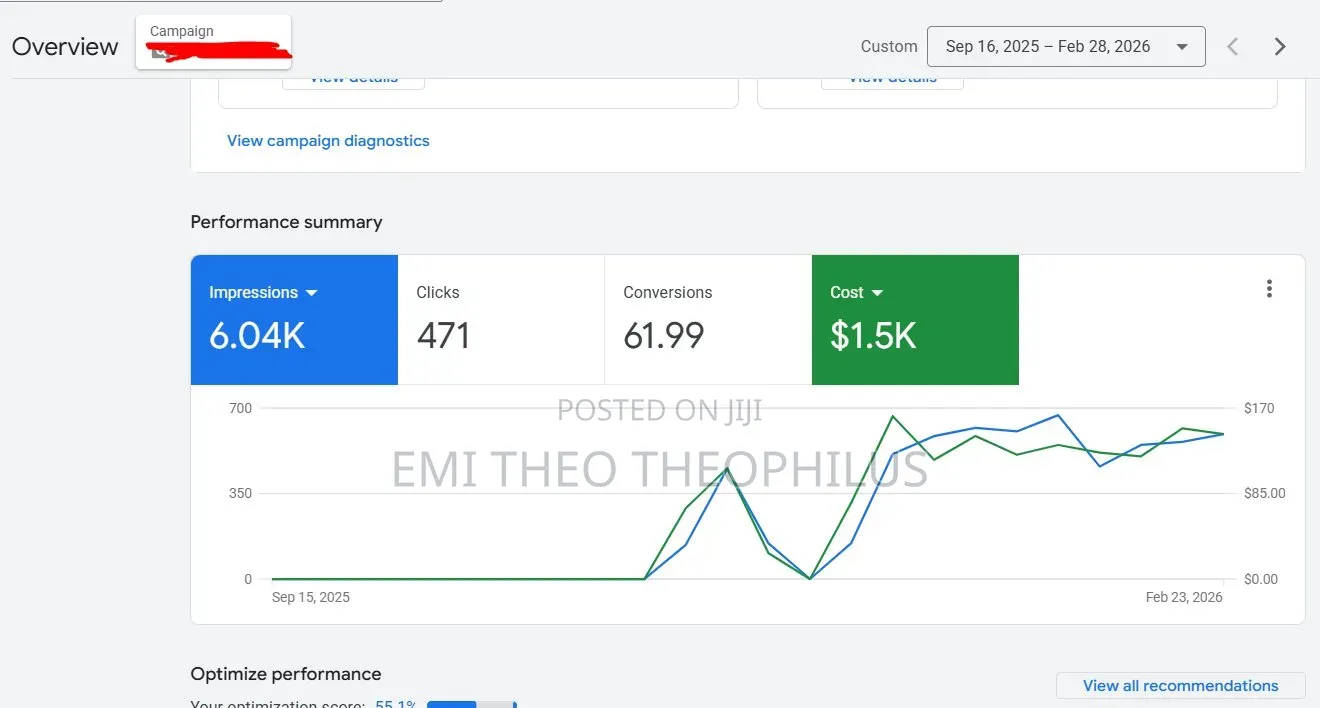 Expert Google Ads Specialist