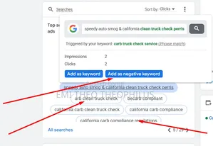 Expert Google Ads Specialist