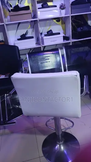 Salon Chairs