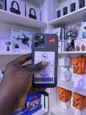 Apple iPhone 12 Pro Max 256 GB Gray