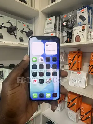 Apple iPhone 12 Pro Max 256 GB Gray