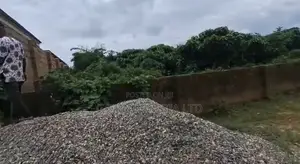 Fenced 100×100ft C of O Land at BIU Estate, Amagba GRA