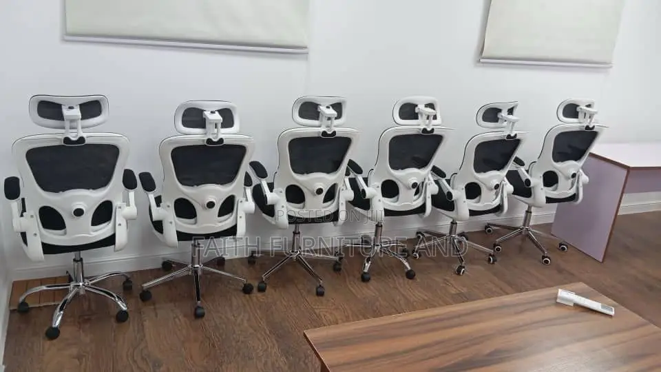 Ergonomic Chair