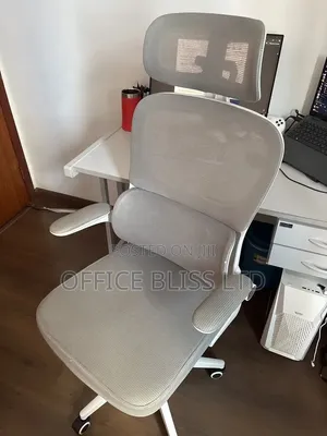 Modern  Home Office  Egornomic Swivel Chair With Lumbar Support - Gray