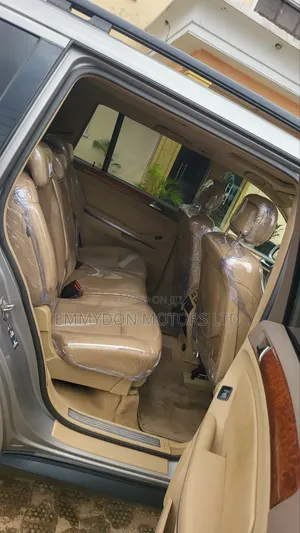 Mercedes-Benz GL-Class GL 450 2009 Silver