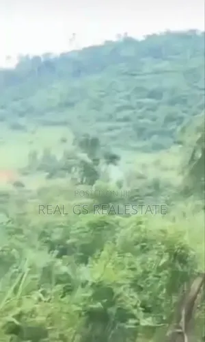 Over 7000 Plots of 100 by 100 for Sale in Ukala Delta State