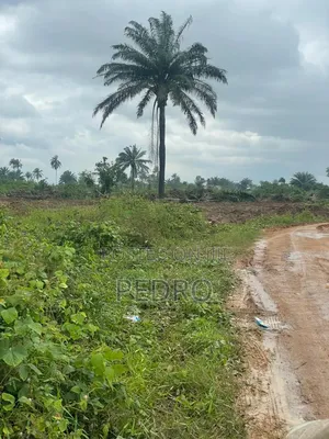 Land for Sale at Airport Road by Obirikwere
