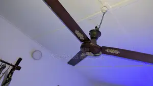Big Ceiling Fan