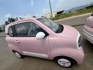 New Zotye V10 2025 Pink