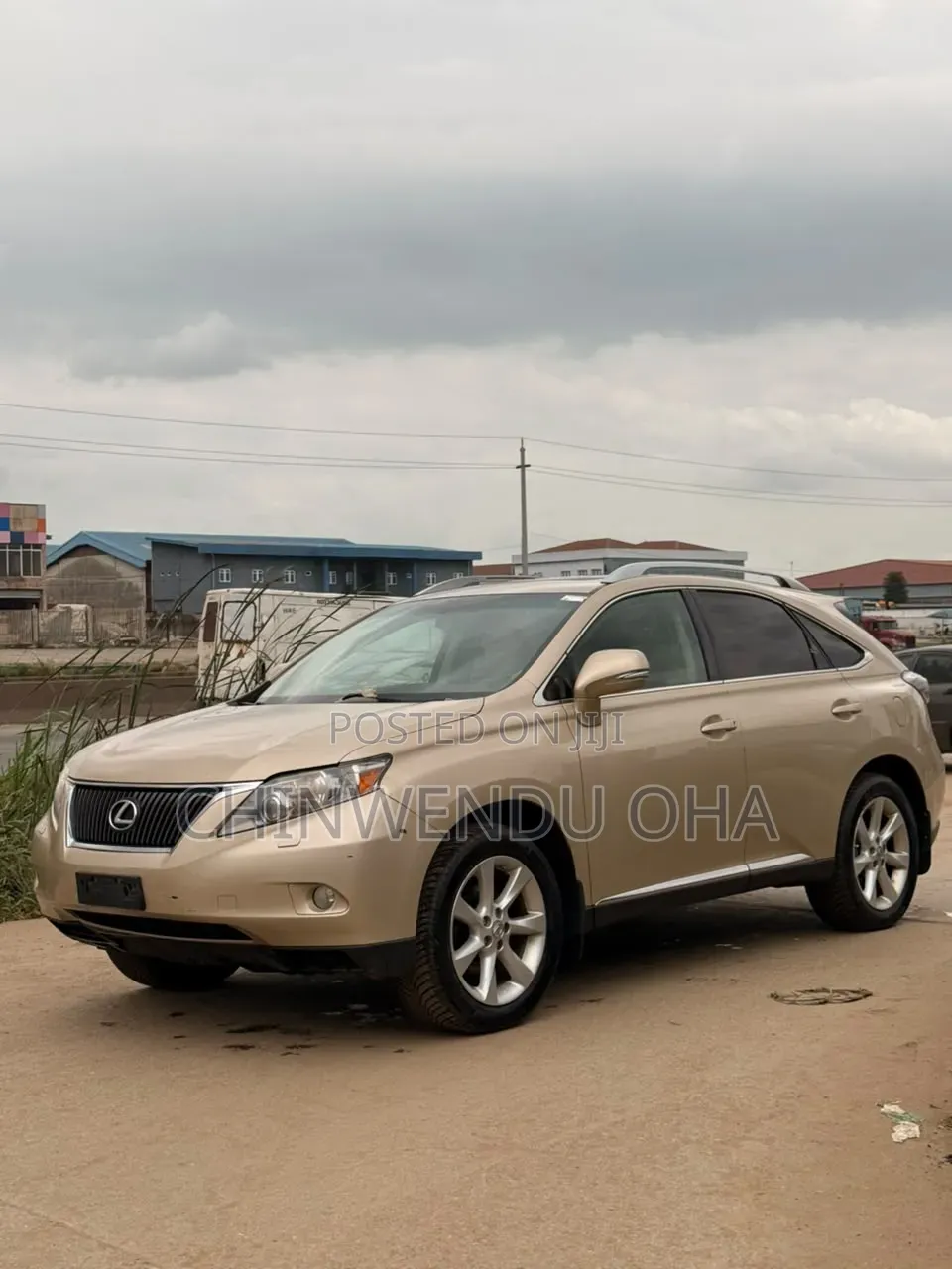 Lexus RX 2010 Gold