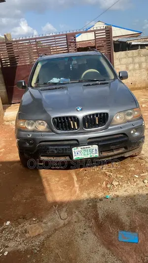 BMW X5 4.8i 2009 Gray