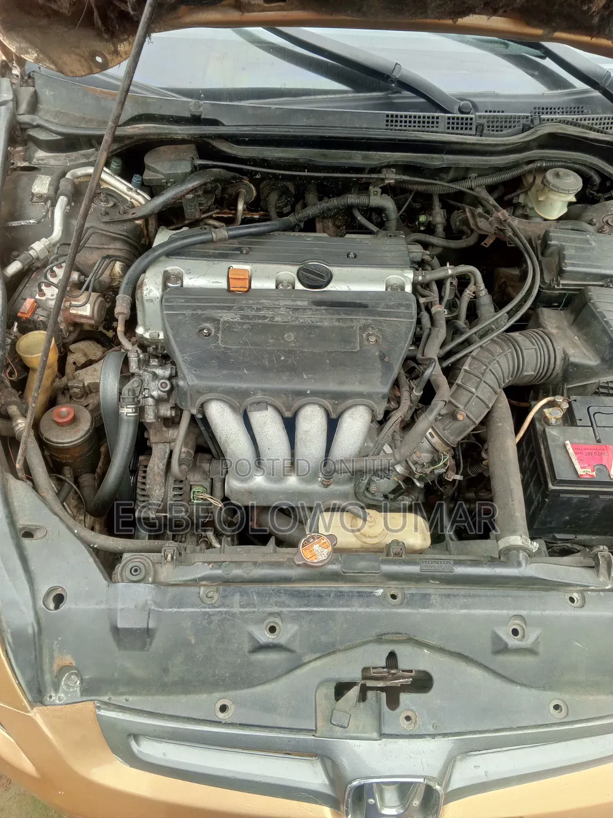 Honda Accord 2005 Gold