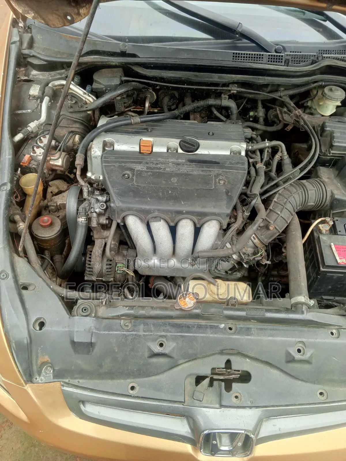Honda Accord 2005 Gold