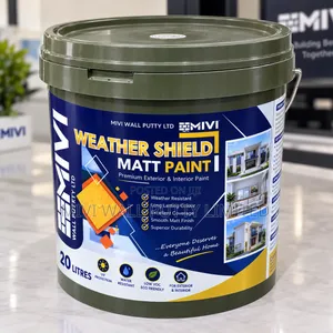Weather Shield Paint