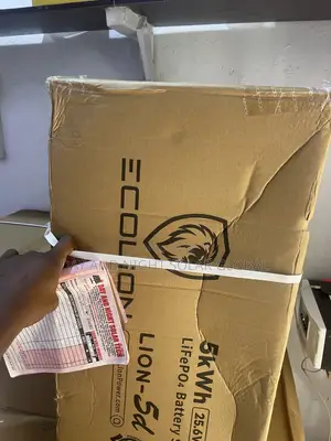 5kwh 24v Ecolion Ion Lithium Solar Battery