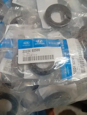 Plug Oil Seal Hyundai/Kia