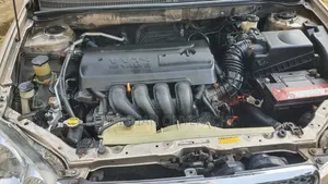 Toyota Corolla LE 2006 Gold