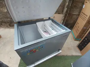 Powerful SKYRUN 260L Freezer for Bulk Food Storage