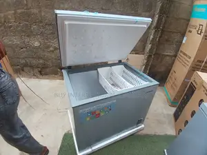 Powerful SKYRUN 260L Freezer for Bulk Food Storage