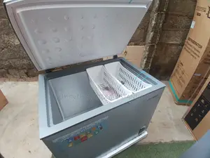 SKYRUN BD-260A Spacious 260L Freezing Solution