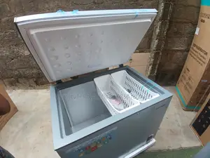 260L SKYRUN Chest Freezer – Reliable Cooling & Storage