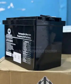 1.3kwh 12v LVtopsun Lithium Battery