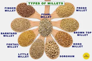 Millet - 500g