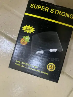 Two Eyes Bulbs