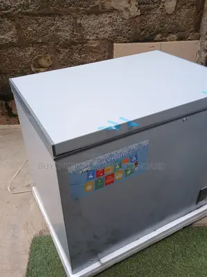 SKYRUN BD-260A 260L Freezer for Shops, Homes & Businesses