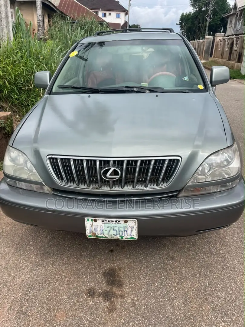Lexus RX 2000 Gray