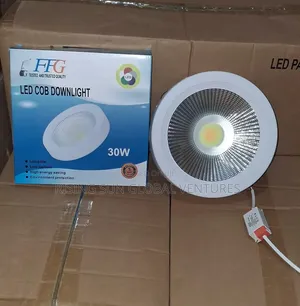 30watt Cob Down Light