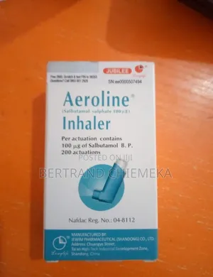 Aeroline Inhaler