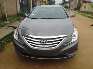 Hyundai Sonata 2013 Gray