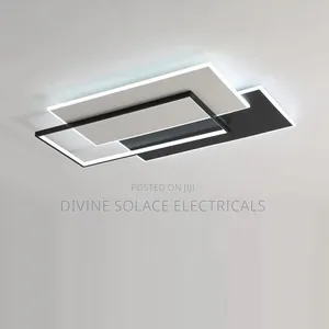Ceiling Mounted Light