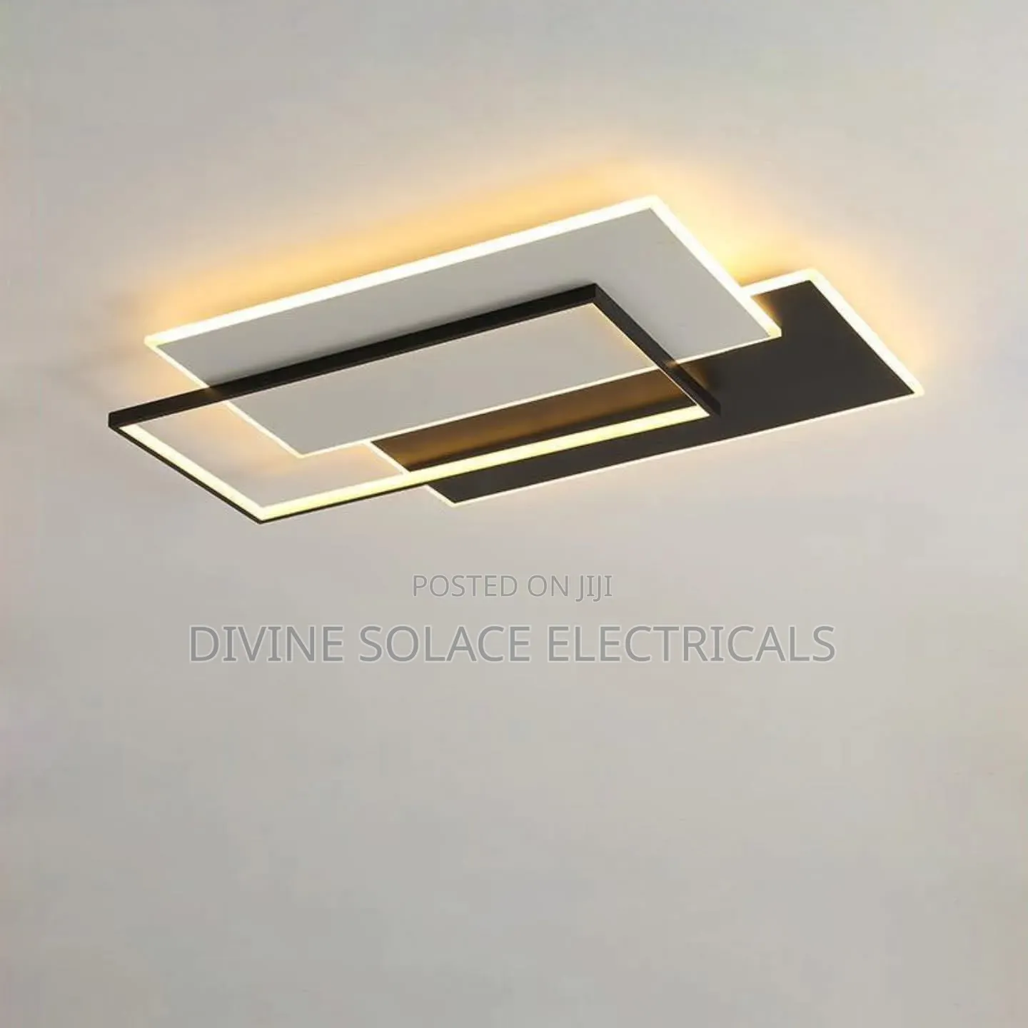 Ceiling Mounted Light