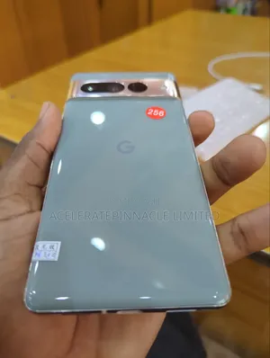 Google Pixel 7 Pro 256 GB Gray