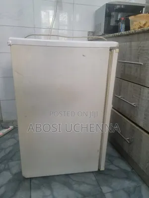 Medium Size Fridge