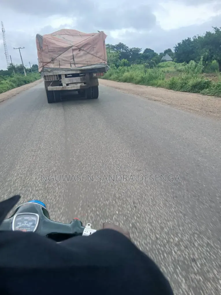 We Distribute Both Dangote and Bua Cement Nationwide