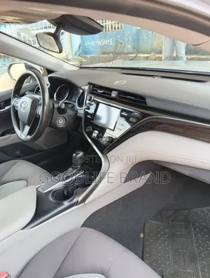 Toyota Camry LE (2.5L 4cyl 8A) 2019 Brown