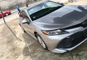 Toyota Camry LE (2.5L 4cyl 8A) 2019 Brown